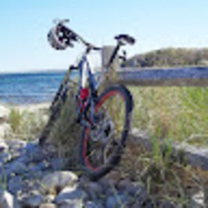 Meet your Posher, Steve